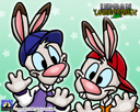 Rabbits