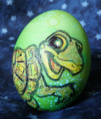 noko egg