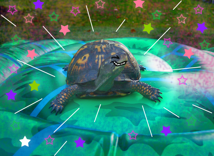 noko happy